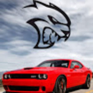 Meet your Posher, Caden